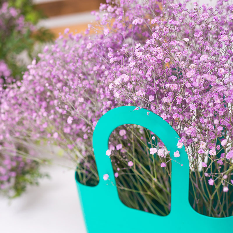 Z-OV-019C Gypsophila Rosea