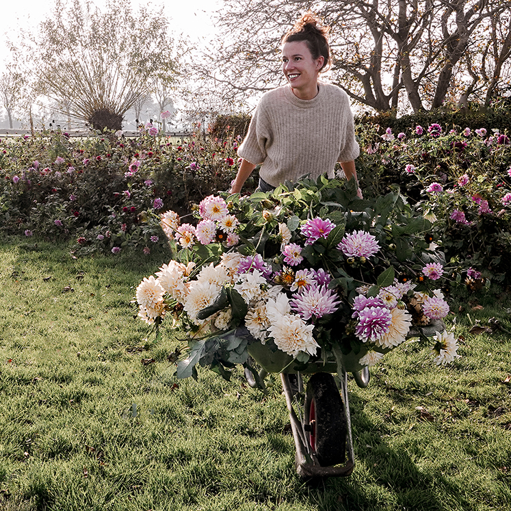 Voor mijn gevoel is 2021 pas net begonnen, maar in werkelijkheid is de 2de maand van het jaar alweer bijna voorbij en komen we dichter bij het voorjaar. De winterse sneeuwdeken heeft inmiddels plaats gemaakt voor het warme voorjaarszonnetje. En dan zijn de tuinkriebels bij ons niet meer te onderdrukken.
