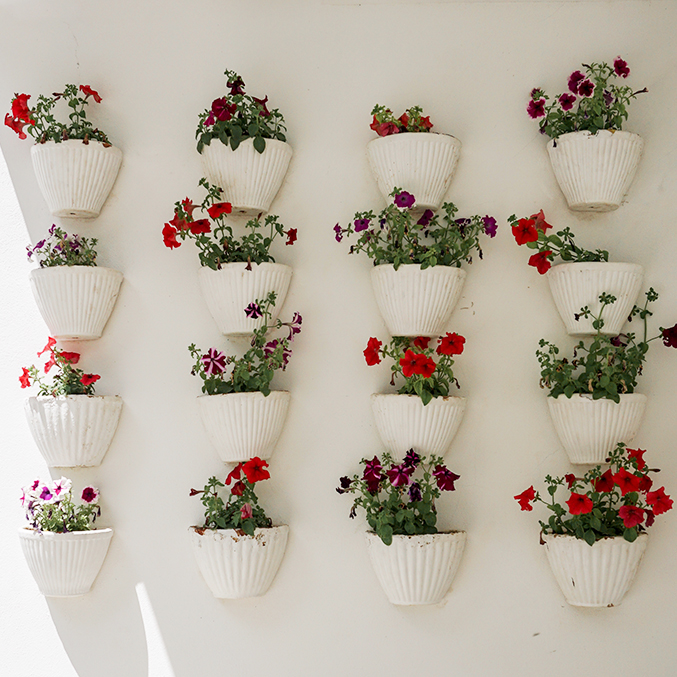 Als je in een appartement woont, klinkt tuinieren misschien niet echt als een haalbare hobby, maar zelfs op het kleinste balkon kun je een beetje tuinieren. Het vergroenen van je balkon kan heel lonend zijn, naast dat je er zelf heerlijk van kan genieten, is een stadstuin, groot of klein, ook heel belangrijk voor het milieu. Jouw kleine balkontuin helpt bestuivers zoals bijen en hommels overleven in onze betonnen jungles. Als het idee van tuinieren op je balkon jou aanspreekt, lees dan hier hoe je kunt beginnen, en hoe je het meeste uit je kleine groene hoekje kan halen.